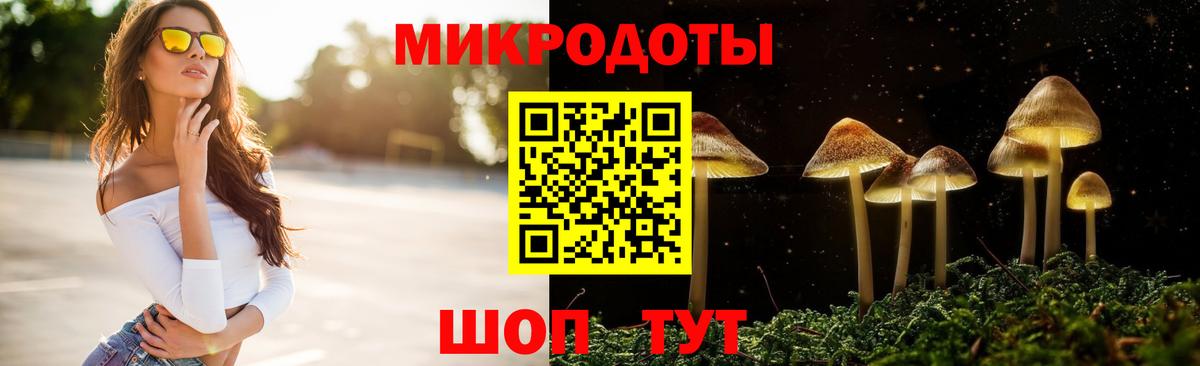 как найти наркотики  Вход с VPN  Буйнакск  Псилоцибиновые грибы мухоморы 